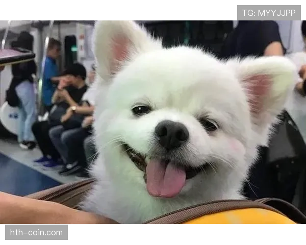 埃琳·安德森家的狗都比你我存款多