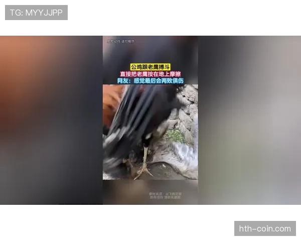 萨卡拎个小包都能把我整个月工资按在地上摩擦